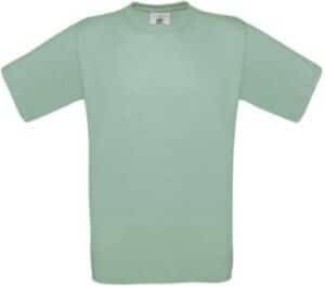 Used Wasabi