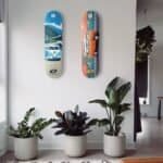 Kleurrijke skateboarddecoraties aan witte muur met groene kamerplanten op de vloer.