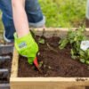 Groene tuinwerk handschoenen met Little Roots logo.