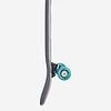 Globe Talon Black/Blue/Green 30″ – Cruiser Skateboard
