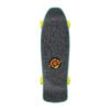 Santa Cruz Roskopp Five deck graphic