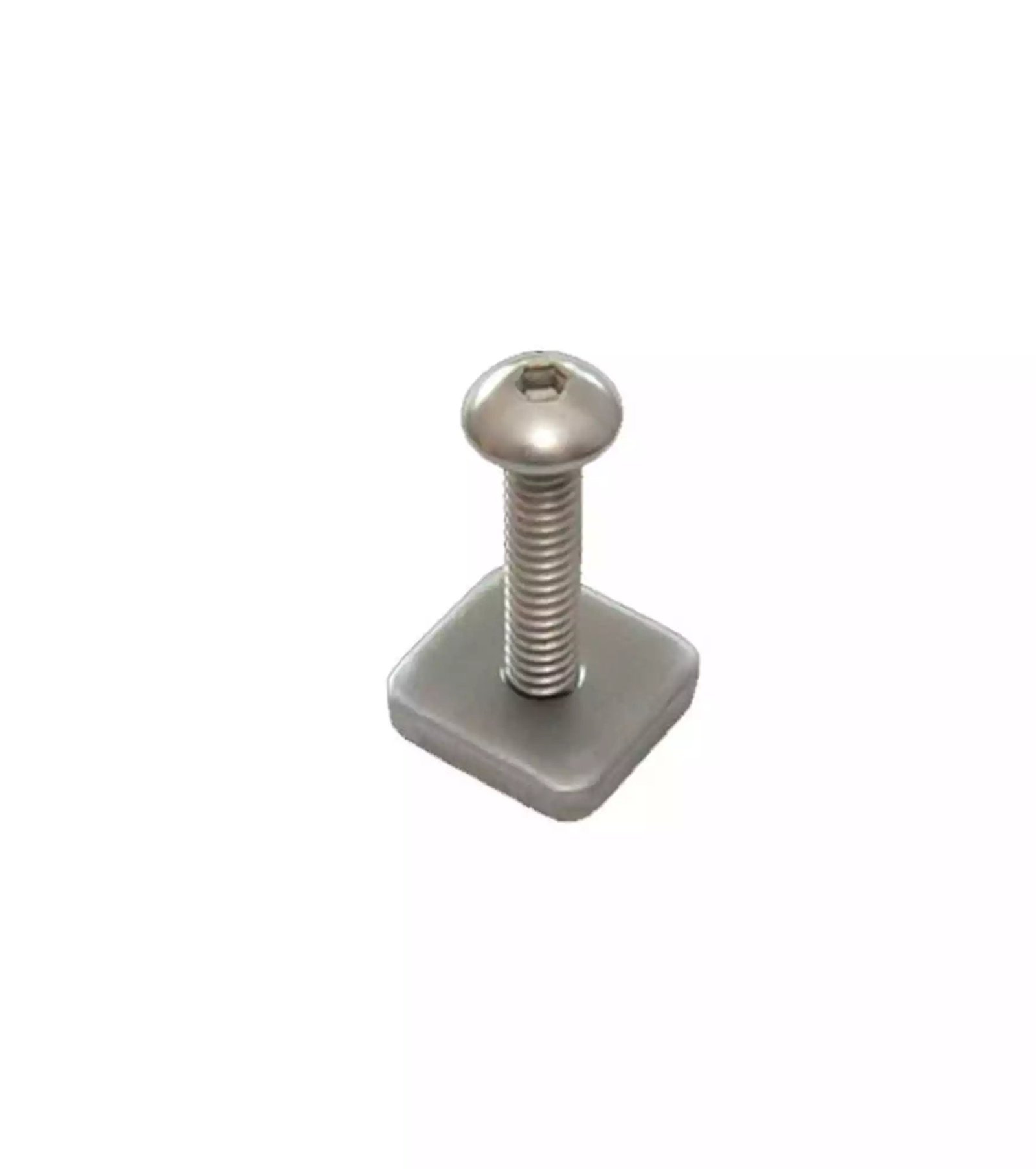 FCS longboard Smart Screw met plaatje